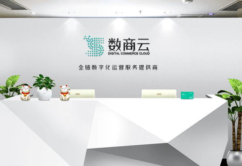 廣州市數(shù)商云網(wǎng)絡(luò)科技 專業(yè)的計算機服務(wù)解決方案